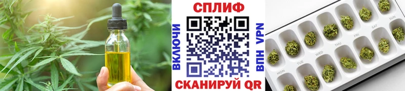 Cannafood конопля  hydra рабочий сайт  Сураж  shop состав  где найти  