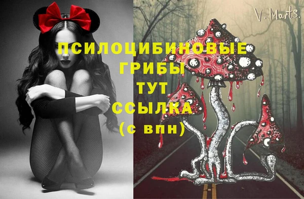 МДПВ Армянск
