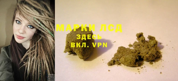 ПСИЛОЦИБИНОВЫЕ ГРИБЫ Арсеньев