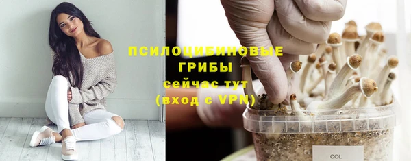 прущий лед Аркадак