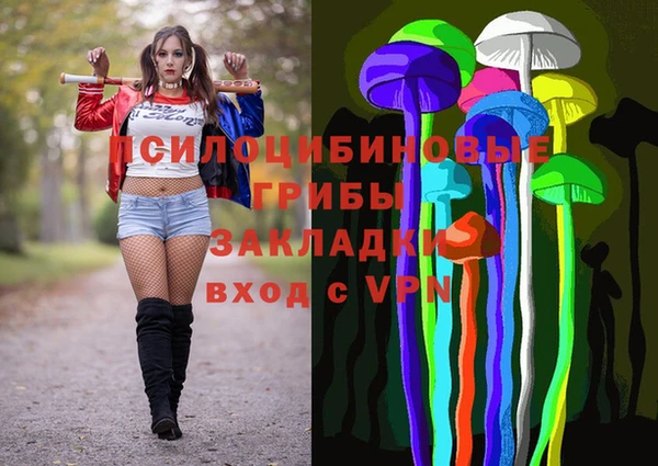 МДПВ Армянск