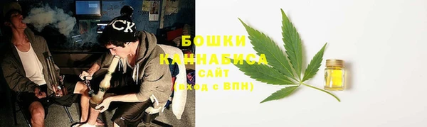 ПСИЛОЦИБИНОВЫЕ ГРИБЫ Арсеньев