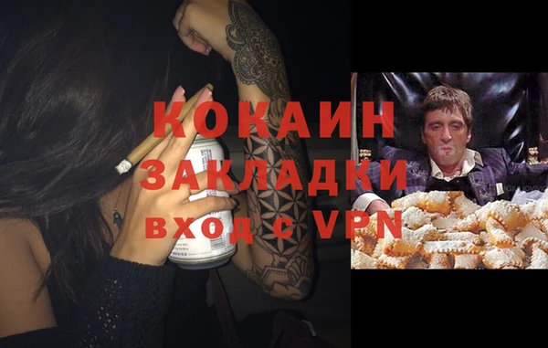 ПСИЛОЦИБИНОВЫЕ ГРИБЫ Арсеньев