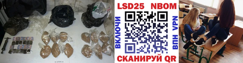 LSD-25 экстази ecstasy закладка Сураж