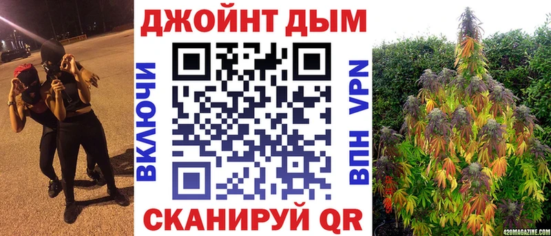 магазин продажи наркотиков  Сураж  Канабис MAZAR 